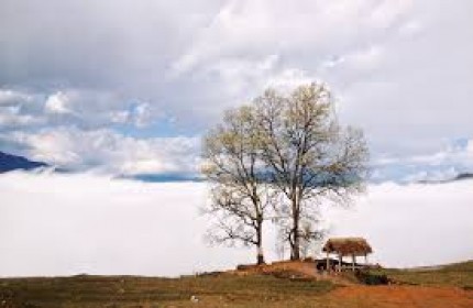 Siêu phẩm đất nền trung tâm Y Tý - SaPa2 view săn mây, thung lũng ruộng bâc thang..